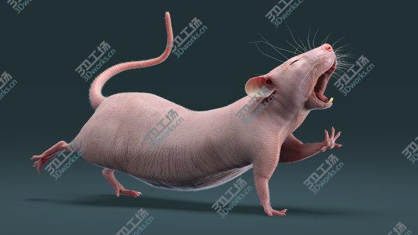 images/goods_img/20210312/Rat Hairless Rigged model/1.jpg